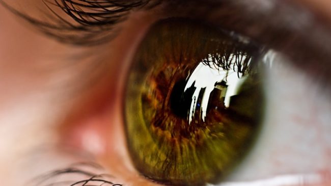 Auge-WEB_800-800×500