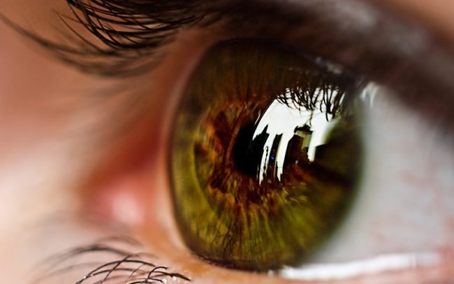 Auge-WEB_800-800×500