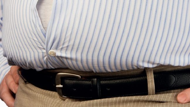 Fettleber_WEB800-800×500