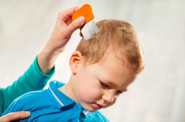 Laeusealarm.png Ein Erwachsener kämmt vorsichtig die Haare eines kleinen Jungen mit einem orangefarbenen Kamm.