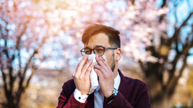 Ein Mann in einem Anzug benutzt ein Taschentuch, um sich die Nase zu putzen, vor blühenden Bäumen im Hintergrund.