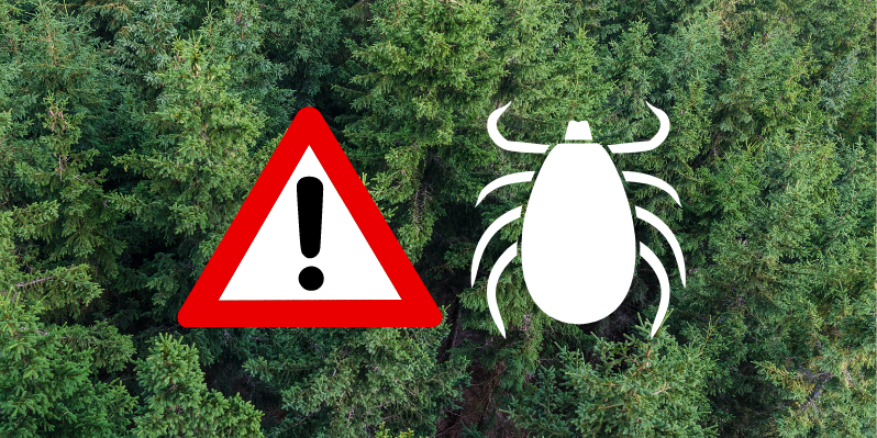 Zecken.png Waldlandschaft mit einer Warnsymbolik und grafischem Hinweis auf Zecken.
