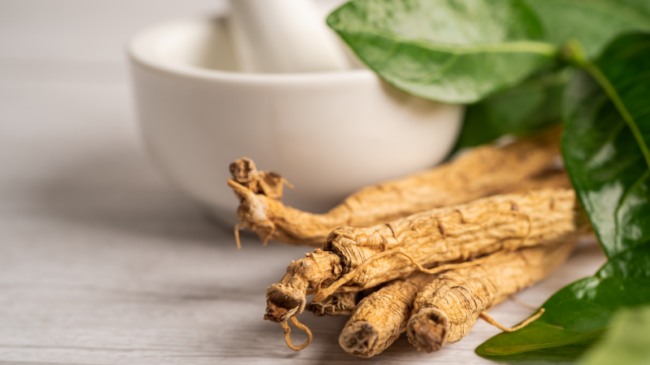 Drei getrocknete Wurzeln liegen auf einem Tisch mit einem Mörser und frischen Blättern im Hintergrund.