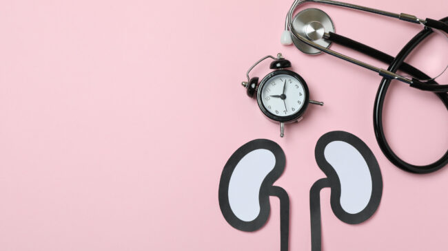 Papierfiguren von Nieren auf einem rosa Hintergrund, daneben eine Armbanduhr und ein Stethoskop.